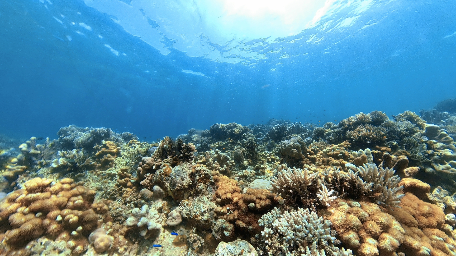 Desa Wisata Bahari Kalibukbuk, Buleleng